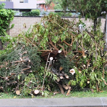 A pile of shrubs and green waste on a property